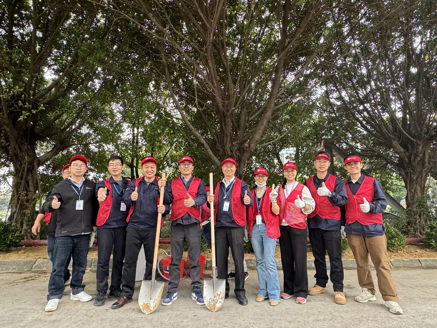 2024���������VI�Ƽ�ֲһĨ���� ��һ�ݵ�Ըֲ����